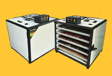 Multi-Purpose-Electric-Dryer-Machines
